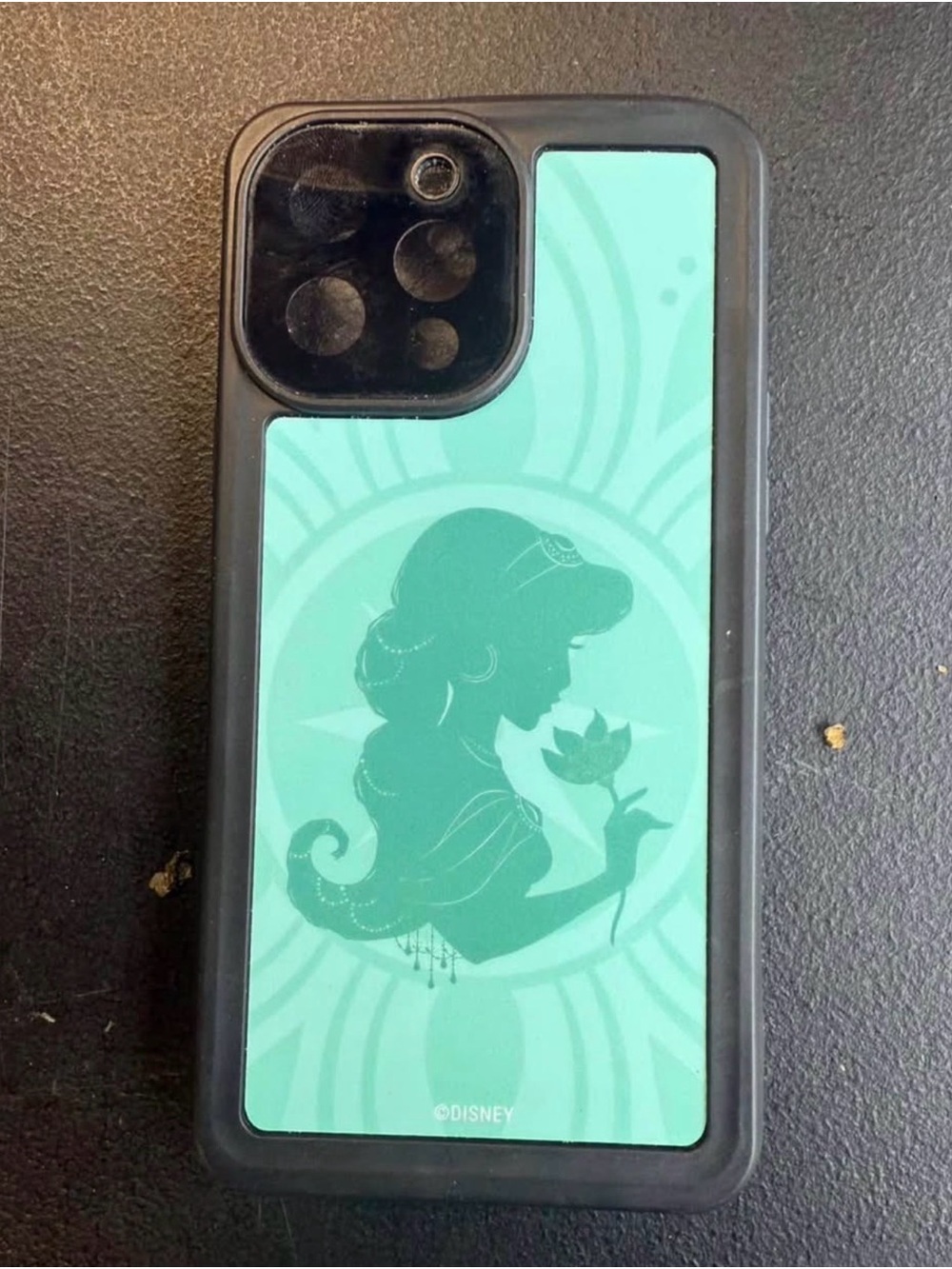 iPhone 13 Pro Max Waterproof Jasmine Disney Phone Case